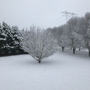 Meet your Posher, Kelley